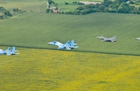 Phi công Ukraine 'chê' UAV MQ-1C của Mỹ vì chúng không thể tồn tại lâu trước hệ thống của Nga