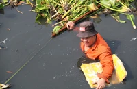 Kênh Nước Đen ở TP.HCM đang được dọn sạch rác