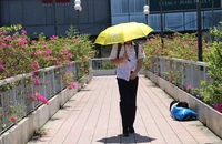 Chấn chỉnh tình trạng nhếch nhác cầu bộ hành sau phản ánh của báo Pháp Luật TP.HCM
