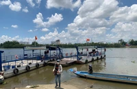 Lý do phà Bình Quới, TP.HCM lại ngưng hoạt động