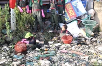 Ra quân dọn rác, khơi thông dòng chảy kênh ở quận Bình Tân