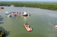 30 ha rừng bị ảnh hưởng, hơn 4 tấn cá chết sau sự cố va chạm tàu hàng gây tràn dầu ở Cần Giờ