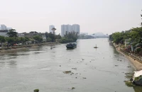 Các phương tiện lưu ý khi lưu thông qua các tuyến đường thủy nội địa ở TP.HCM