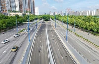 Làn đường riêng cho xe đạp ở TP.HCM: Cần học hỏi kinh nghiệm quốc tế