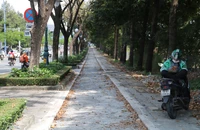 Làn đường riêng cho xe đạp dần lộ diện trên đại lộ Mai Chí Thọ