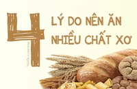 4 Lý do mà bạn nên ăn nhiều chất xơ