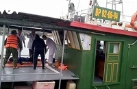 Hải Phòng: Một ngư dân bị cá mập tấn công gần đảo Bạch Long Vỹ