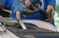 1 doanh nghiệp xăng dầu ở Hà Nội bị đề nghị thu hồi giấy phép