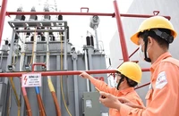 EVN mong được tăng giá điện để bảo đảm cân bằng tài chính