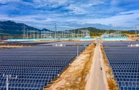 Nhiều dự án điện gió, điện mặt trời đã được thống nhất giá tạm thời