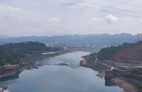 Dù có mưa, thủy điện Hòa Bình vẫn 'khát' nước