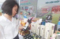 Tìm cách đưa sim rừng, khoai lang từ miền núi về Hà Nội