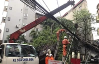 Bão số 3 gây thiệt hại nặng cho hệ thống điện và kho xăng dầu