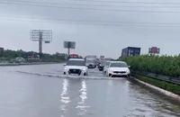 Hà Nội: Nước lũ tràn lên cao tốc Pháp Vân - Cầu Giẽ