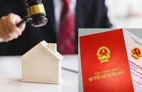 Hà Nội: Công an xác minh dấu hiệu bất thường tại phiên đấu giá 22 thửa đất ở Thanh Oai