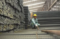 Trưởng Thương vụ Việt Nam tại Mỹ phân tích về việc Mỹ chuẩn bị áp thuế 25% với nhôm, thép 