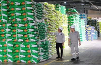 PVFCCo - Phú Mỹ và bước chuyển mình trong kinh doanh