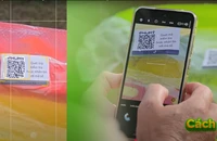 Phú Mỹ Fer-Right – Đồng hành cùng nền nông nghiệp hiện đại và bền vững