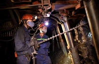 TKV: Mức tiền lương bình quân tháng 10 tăng 6,4% 