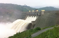 Tổng giám đốc công ty thuỷ điện Sông Ba Hạ Nguyễn Đức Phú nói gì về mức xả lũ lịch sử?