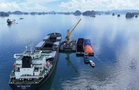 TKV dự kiến sản xuất than sạch vượt 2 triệu tấn so kế hoạch năm 2025