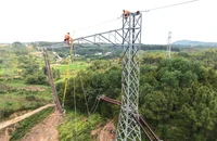 Năm thứ 2 liên tiếp EVN có lợi nhuận