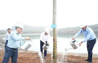 TKV phát động 'Tết trồng cây đời đời nhớ ơn Bác Hồ' xuân Bính Ngọ 2026