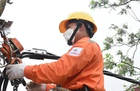 Nắng nóng gay gắt, sử dụng điện ra sao để hóa đơn không tăng
