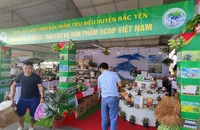 Cửa hàng đặc sản Tây Bắc ở TP.HCM đạt chuẩn OCOP Việt Nam