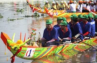 Đua ghe ngo dậy sóng nước Xà No