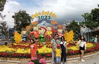 Trưng bày hoa quả đón Tết Quý Mão 2023