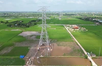 EVNNPT cơ bản hoàn thành dựng cột Dự án đường dây 500kV mạch 3, đoạn nhiệt điện Nam Định I – Thanh Hóa