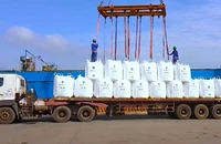 6 tháng năm 2024, PVFCCo tăng trưởng ấn tượng