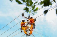 EVNCPC đạt nhiều kết quả tích cực trong 6 tháng đầu năm