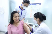 Việt Nam đã có vắc xin sốt xuất huyết cho trẻ em và người lớn