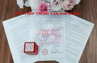 Hành trình khởi nghiệp trung tâm ngoại ngữ: Từ khó khăn đến thành công