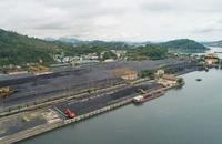 10 tháng, TKV đạt doanh thu 137.157 tỉ đồng, bằng 102,5% so với cùng kỳ