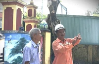Điện lực Đà Nẵng: Hỗ trợ người dân đảm bảo an toàn điện mùa mưa bão