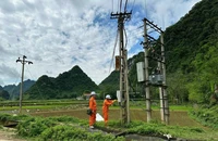 10 tháng năm 2024, sản lượng điện thương phẩm của EVNNPC tăng 10,91% 