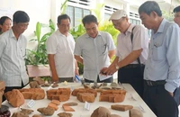 Bình Định: Phát lộ hàng trăm phế tích trong lòng đất hơn 700 năm