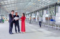 Agribank giảm lãi suất cho vay hỗ trợ người dân, doanh nghiệp phát triển sản xuất kinh doanh