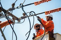 Điện lực miền Nam: Đã đảm bảo cung cấp điện an toàn, ổn định trong dịp Tết
