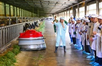 ‘Mở khóa tự nhiên’: Vinamilk biến rào cản thành vòng tuần hoàn xanh tại trang trại sinh thái