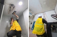 Vì sao sơn nhà an toàn cần chống thấm?