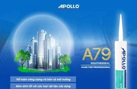 Apollo Silicone: Doanh nghiệp tiên phong cung cấp chất trám xanh trong xây dựng