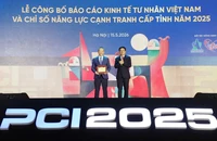 Bức tranh năng lực cạnh tranh cấp tỉnh và cơ hội phát triển của doanh nghiệp tư nhân