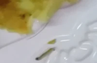 Nhà trường phản bác thông tin có dòi trong thịt gà