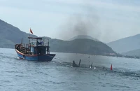 Phương tiện bị chìm được kéo vào bờ. Ảnh: N.BÌNH
