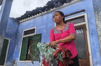 Người dân đi tìm mái tôn do bão 'dỡ' đi