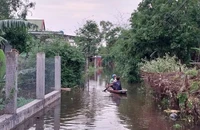 Thừa Thiên - Huế cho học sinh nghỉ học tránh mưa lũ